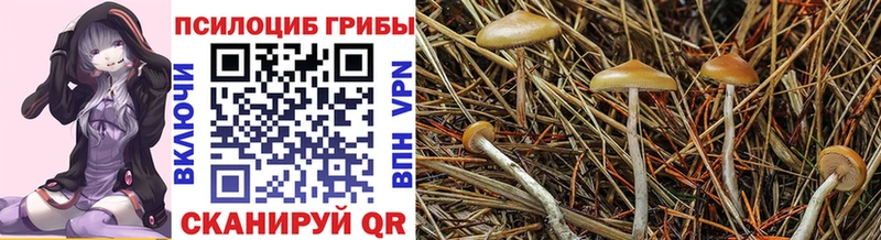 Псилоцибиновые грибы ЛСД  Октябрьск 